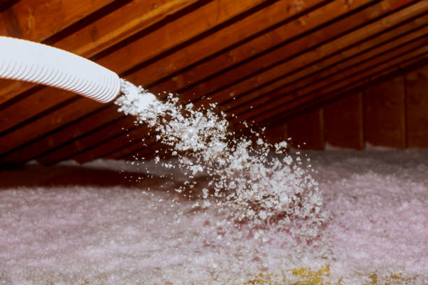Best Blown-in Insulation in Montecito, CA